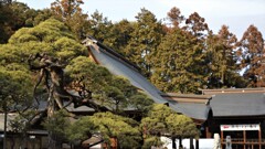 甲斐國一之宮 浅間神社 笛吹市一宮町一ノ宮 山梨県 DSC_0095