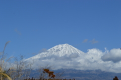 白糸の滝公園 富士宮市 静岡県