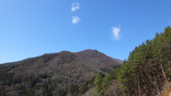 秩父多摩甲斐国立公園 富士 山 花 山梨県