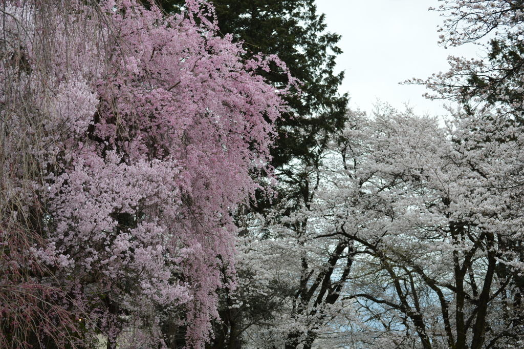 松里 甲州市塩山 山梨県