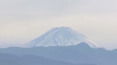 富士山 藤木 甲州市 山梨県 DSC01300
