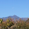 乾徳山 柿 甲州市 松里 フルーツライン 山梨県 DSC02666