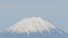 富士山 オーチャードビレッジ 山梨市 山梨県 DSC03570