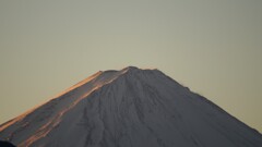 富士山 笛吹川フルーツ公園 山梨市 山梨県 DSC04667