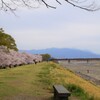 桜 甲斐市 山梨県 DSC02754