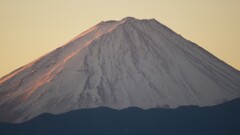 富士山 笛吹川フルーツ公園 山梨市 山梨県 DSC04752