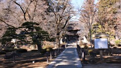 乾徳山 恵林寺 甲州市塩山小屋敷 山梨県  DSC07934