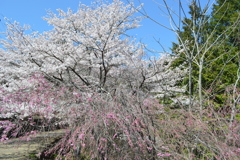 牧丘町 秩父多摩甲斐国立公園 山梨市 山梨県