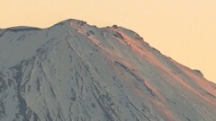 富士山 藤木 甲州市 山梨県 DSC08479