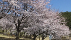 オーチャードヴィレッジ・フフ 秩父多摩甲斐国立公園 山梨市 山梨県