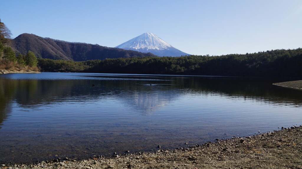 富士山 西湖 山梨県 DSC03739
