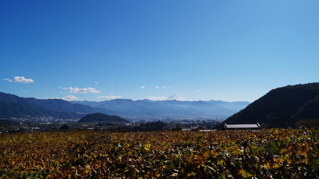富士山 城古寺 八幡神社 山梨市 山梨県 DSC04071