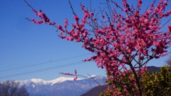 南アルプス 日川 山梨市 山梨県 DSC08203