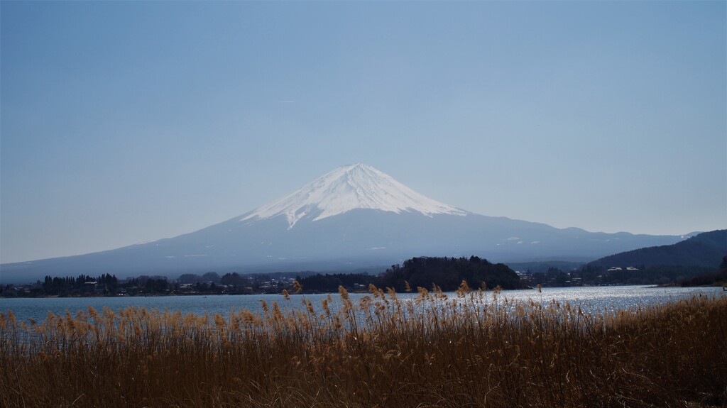 日本の風景 富士山 河口湖 山梨県 DSC01473