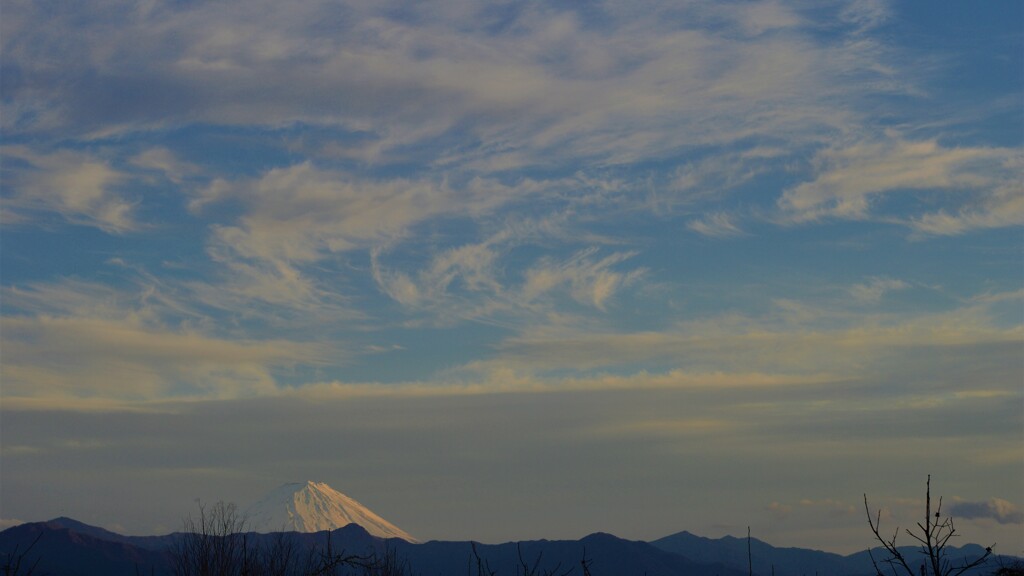 富士山 敷島総合公園 山梨県甲斐市 DSC_0108