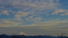 富士山 敷島総合公園 山梨県甲斐市 DSC_0108