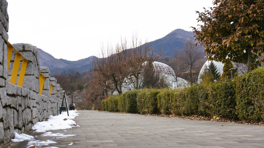 富士山 フルーツ公園 山梨市 山梨県 DSC02842