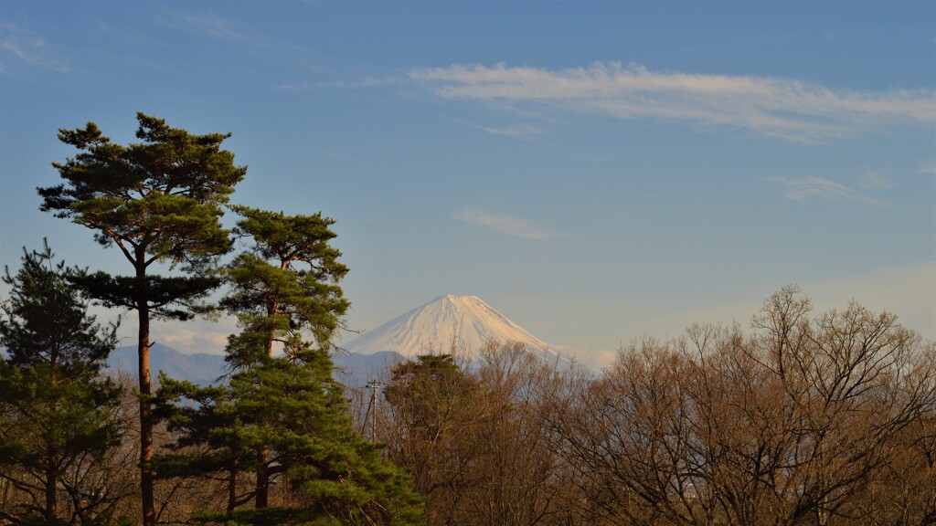 富士山 敷島総合公園 山梨県甲斐市  DSC_0080