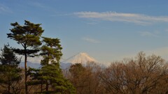 富士山 敷島総合公園 山梨県甲斐市  DSC_0080