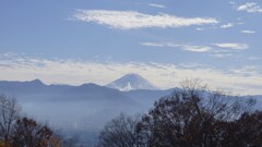 富士山 笛吹川フルーツ公園 山梨市 山梨県 DSC02946