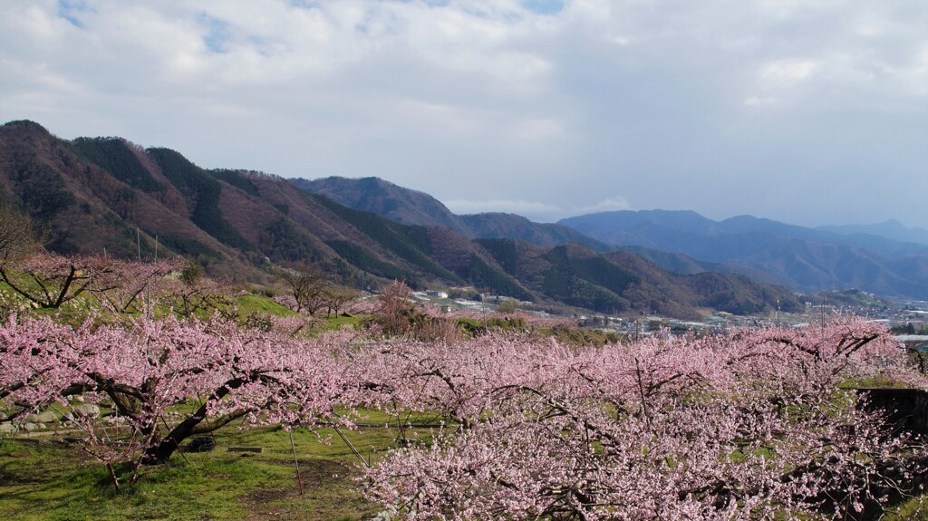 千野橋 甲州市 山梨県 DSC02328