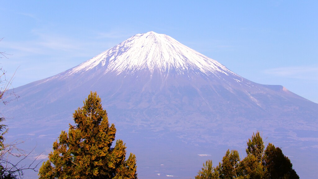 富士山 白鳥山 山梨百名山 低山568ｍ 静岡 DSC07130
