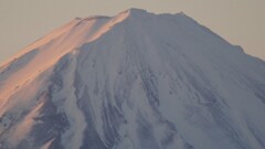 富士山 笛吹川フルーツ公園 山梨市 山梨県 DSC06391