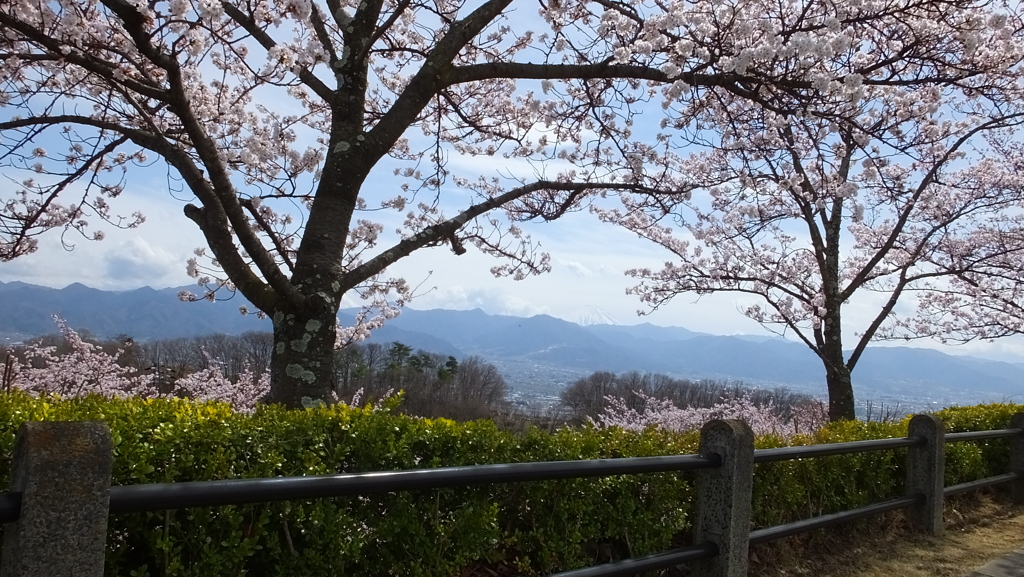 山梨県笛吹川フルーツ公園 山梨市 山梨県