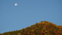 月 紅葉 乾徳山登山口 秩父多摩甲斐国立公園 山梨市 山梨県 DSC04097