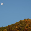 月 紅葉 乾徳山登山口 秩父多摩甲斐国立公園 山梨市 山梨県 DSC04097