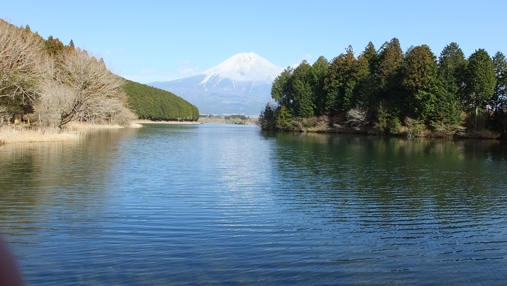 田貫湖 富士宮市 静岡県