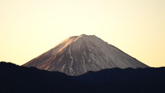 富士山 笛吹川フルーツ公園 山梨市 山梨県 DSC04151