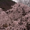 塩山ふれあいの森総合公園 甲州市 山梨県 DSC06939