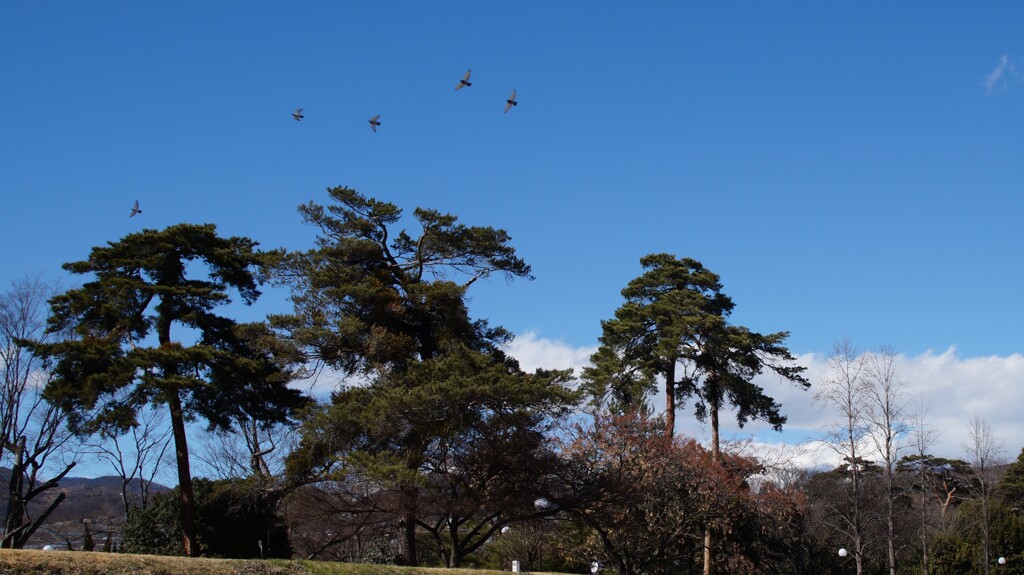 万力公園 山梨市 山梨県 DSC01061