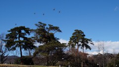 万力公園 山梨市 山梨県 DSC01061