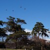 万力公園 山梨市 山梨県 DSC01061