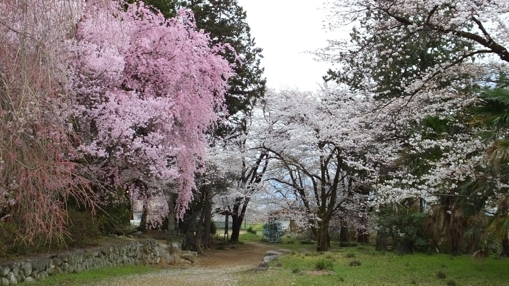 白髭神社 松里 甲州市塩山 山梨県