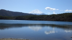 西湖 富士河口湖町 富士五湖 山梨県