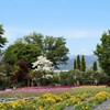 花 ハーブ庭園夢日記 甲州市 山梨県 DSC03073