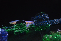 ぶどうの丘 甲州市勝沼 山梨県DSC_0020