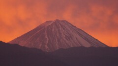 富士山 笛吹川フルーツ公園 山梨市 山梨県 DSC04621