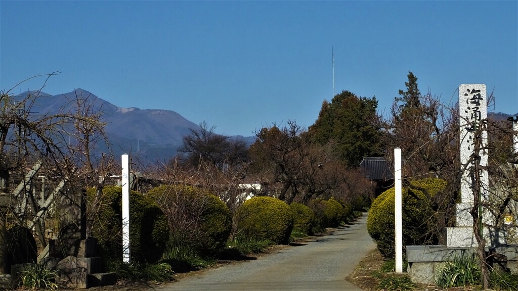 乾徳山 清白寺 山梨市三ヶ所 山梨県 DSCF3346
