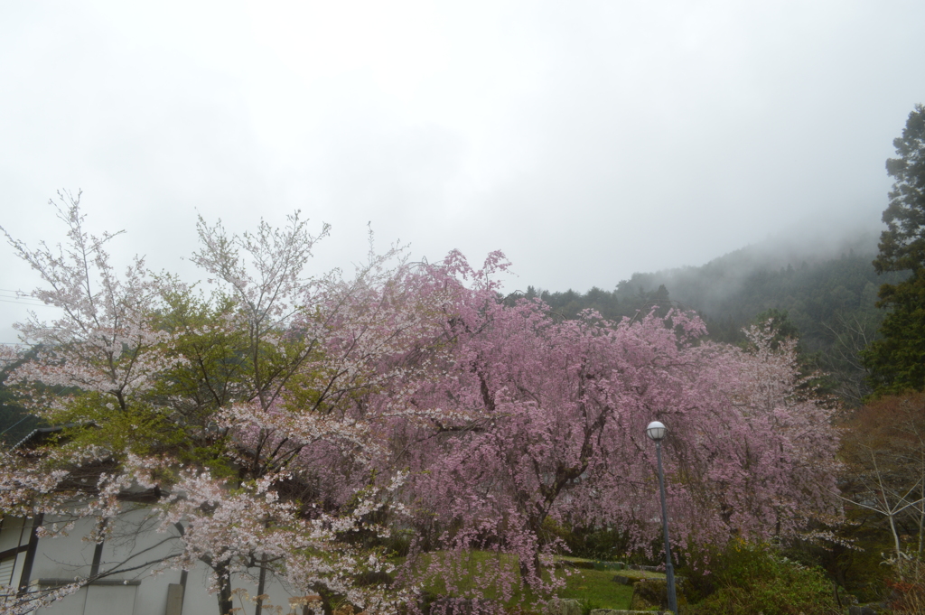 乾徳公園 秩父多摩甲斐国立公園 山梨市三富徳和 山梨県