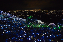 ぶどうの丘 甲州市勝沼 山梨県DSC_0009