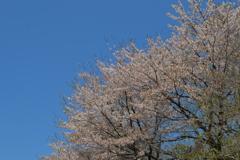 牧丘町窪平 秩父多摩甲斐国立公園 山梨市 山梨県