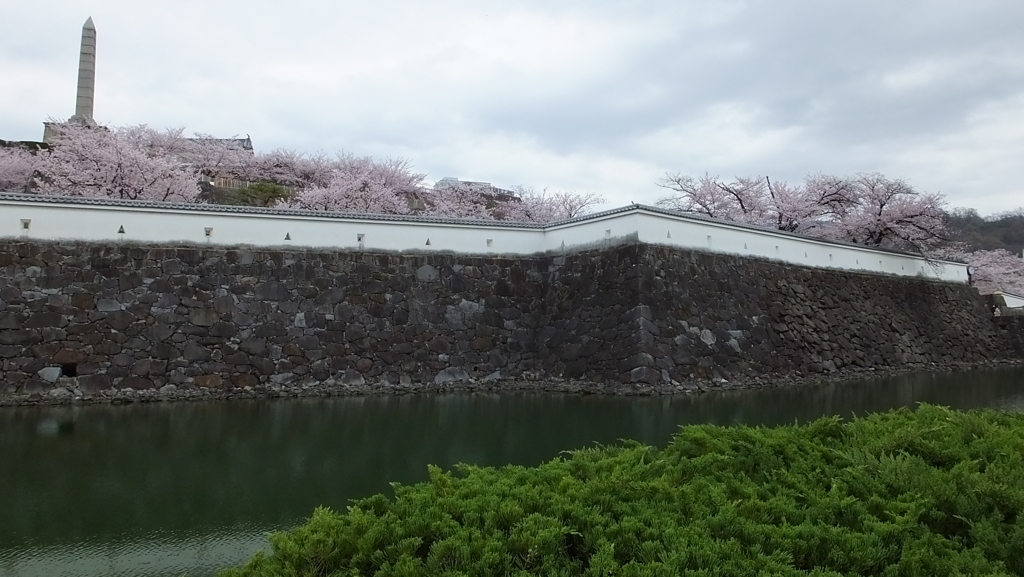 舞鶴城 櫻 甲府市 山梨県