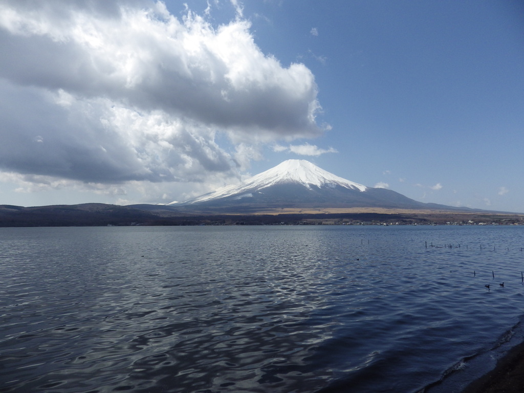 山中湖　富士山　山梨県　