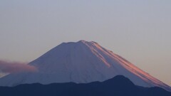富士山 藤木 甲州市 山梨県 DSCF0889