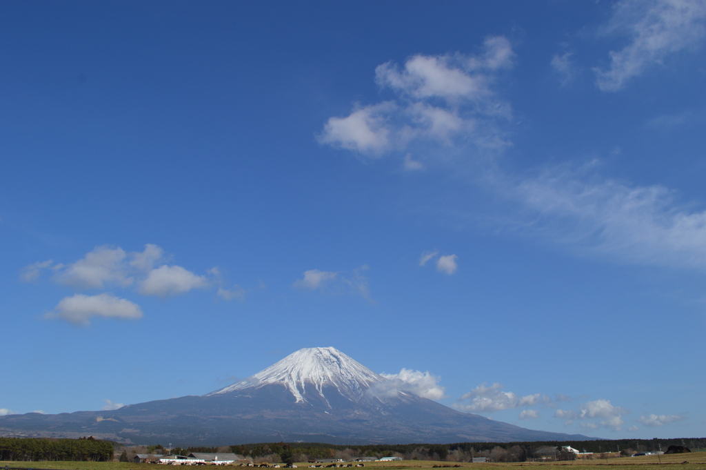 朝霧高原 富士宮市 静岡県