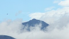 根津橋 万力公園 乾徳山 秩父多摩甲斐国立公園 山梨市 山梨県 DSC02578